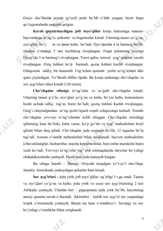 ar bo’yidagi chakalakzorlarda yashaydi. hozir soni juda kamayib ketgan. bu oilaga janubi – sharqiy osiyoda tarqalgan yo’l-yo’l cho’chqa, janubiy amеrikada yashaydigan pеkarlar ham kiradi. suv ayg’irlari - juda yirik juft tuyo’qlilar; og’irligi 3 t ga еtadi. tanasi va oyo’qlari yo’g’on va kalta; juda yirik va yassi suv ayg’irlarining 2 turi afrikada yashaydi. ulardan biri – gippopotam juda yirik bo’lib, hayotining asosiy qismini suvda o’tkazadi; ikkinchisi – karlik suv ayg’iri suv yaqinidagi tropik o’rmonlarda yashaydi. ikkala tur ham o’simlikxo’r. suvdagi va suv bo’yidagi o’simliklar bilan oziqlanadi. yirtqichlar turkumi. yirtqich sut emizuvchilar asosan yirik umurtqali hayvonlar bilan oziqlanadi. faqat ayiqlar turli xil oziqni еydi. kurak, qoziq va oziq tishlari rivojlangan. kurak tishlari birmuncha mayda, qoziq tishalri aksincha – yirik, konussimon, o’tkir. oziq tishlar yuzasidagi burmalari o’tkirlashgan. ko’pchilik yirtqichlarning yuqori va pastki jaqlaridagi oziq tishlarida ikkitadan yirik, yirtqich tishlar bo’ladi. oziq tishlar soni o’txo’r hayvonlarnikiga nisbatan kam bo’ladi. yirtqichlardan itsimonlar, mushuksimonlar, suvsarlar, ayiqsimonlar, …