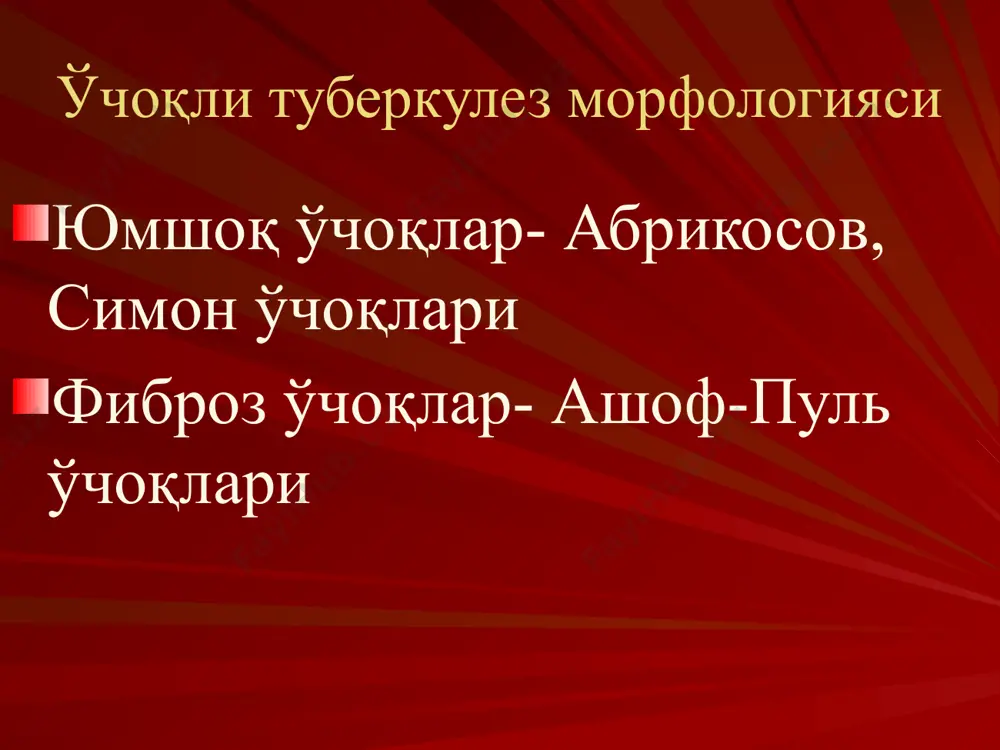oʼpkaning oʼchoqli, yalligʼlangan tuberkulezi va oʼpka tuberkulemasi - Page 5