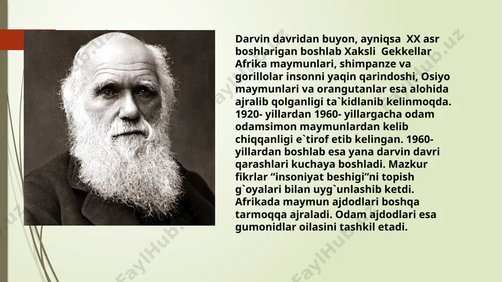 ligini ta`kidlagan. 1919 yilda u odam antsedentlarini hozirgi zamon dolgopyatlarinikiga o`xshashligi xususidagi taklifni o`rtaga tashlaydi. hozirgi zamon antropologlari odamning ilk boshlang`ich nuqtasini 50 dan 60 million yillar oldin shakllangan deb hisoblaydilar. 1950-1960 yillarda qadimiy mavjudodlar qoldiqlarini topish ko`paygan paytda odamlar ilk odamsimon maymunlar bilan bog`liq ekanligini isbotladi. shuningdek, bu g`oya odamlar faqatgina afrika odamlari bilan yaqin aloqasi borligini inkor etdi. qadimgi odamsimonlarning bir guruhi alohida ajralib chiqib, zamonaviy turlarga asos solishadi. zamonaviy odamlar va afrika maymunlari umumiy ajdodlar merosini aks etirsada, ularning evolyutsiyasi esa o`xshash emas. ular ma`lum bir davrda ajralishib alohida rivojlanish yo`nalishiga o`tishadi. bu g`oyaning tarafdorlaridan biri kaliforniya universiteti xodimi shervud uoshbern bu borada muhum ilmiy ishlarni amalga oshirgan. 1960 yilda qazilma qoldiqlaridan birining topilishi odam va afrika maymunlari parallel ravishda evoyutsiyani boshdan kechirganliklarini ko`rsatib berdi. buni yel universiteti olimi elvin simons isbotlab berdi. yuqoridagi topilma bundan 15- million yillar ilgari yevroosiyoda yashagan ramapitekka tegishli bo`lib, ko`plab anotomik …
