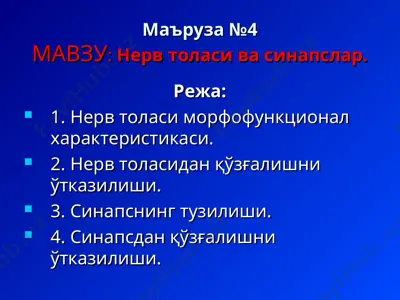 nerv tizimi va sinapslar — PPT