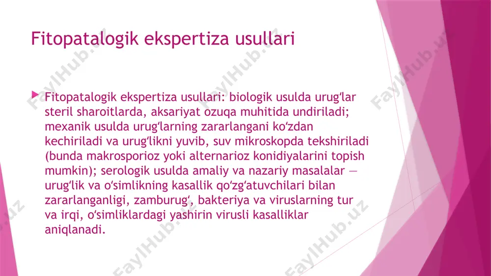 s darajadan past haroratda sporalar o‘smaydi. o‘sayotgan teliosporalar 15-20 soatdan keyin tez o‘suvchi o‘simta - bazidiya va bir hujayrali rangsiz, cho‘zinchoq bazidiospora hosil qiladi. zamburug‘ fakat vegetativ organlarni zararlaydi. teliospora (quruklari) to‘rt oygacha hayotchanligini yo‘qotmaydi. kasallikni qo‘zg‘atuvchi zamburug‘ xlamidospora stadiyasida ko‘pincha tuproq betida qishlab chiqadi. xlamidosporalar o‘sib, bazidiosporalar beradi. keyinchalik bazidiosporalar kurtaklanuvchi sporidiylar hosil kiladi, ular havo orqali tarqalib, makkajo‘xorining har xil organlariga tushadi.qulay sharoitda sporidiylar o‘sadi va o‘simtasi makkajo‘xorining yosh nozik to‘qimasiga kiradi.makkajo‘xori butun o‘sish davrida, ya’ni yosh to‘qimalar bor vaqtlarda yangidan zararlanishi mumkin.kasallikni qo‘zg‘atuvchi zamburug‘ning xlamidosporalari tuproqda makkajo‘xorining qoldiqlarida, so‘talarida, donida qishlaydi. agar kasallik urug‘ orqali yuqsa, o‘simlik umuman zararlanmaydi, bunda tuproqdagi urug‘ nishlari kasallanadi. zamburug‘ tanasi g‘allagullilarning boshqa xil zanglari singari, butun o‘simlik bo‘ylab tarqalib makkajo‘xorini esa faqat so‘ta va ro‘vaklarida ko‘rinadi. so‘ta va ro‘vaklari batamom zararlanadi. foydalanilgan adabiyotlar foydalanilgan adabiyotlar plant protection entomologi ntmatologi plant pathologi- edication division indian council of agricultural research new delui. april …