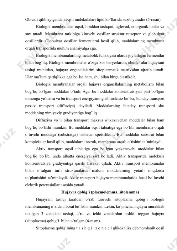 inlaydi. aktiv transport hujayra membranalarida hosil bo`luvchi elektrik potentsiallar asosida yotadi. hujayra qobig’i (plazmolemma, sitolemma) hujayrani tashqi tarafdan o`rab turuvchi sitoplazma qobig`i biologik membrananing o`zidan iborat bo`lishi mumkin. lekin, ko`pincha, hujayra murakkab tuzilgan 3 zonadan: tashqi, o`rta za ichki zonalardan tashkil topgan hujayra (sitoplazma) qobig`i bilan o`ralgan (6-rasm). sitoplazma qobig`ining t a s h q i z o n a c i glikokaliks deb nomlanib oqsil va karbonsuvlardan hosil bo`lgan. u elektron mikroskop ostida uzluksiz struktura holida ko`rinadi. glikokaliks tashqi qavat bo`lgani uchun hujayraning tashqi muhit bilan aloqasida muhim rol o`ynaydi. glikokaliks zonasining ximiyaviy tarkibi turli hujayralarda farqlanadi. ba’zi bir hujayralarda glikokaliks moddalarni parchalovchi fermentlarga boybo`lsa, boshqa xujayralardagi glikokaliksni hosil qiluvchi glikoproteidlar immunologik xususiyatga ega. bu esa shu zonaning immunologik jarayonlarda muhim o`rin tutishini belgilaydi. ichak epitelial hujayrasining (enterotsit) mikrovorsinkalari ustidagi glikokaliks moddalar parchalanishida, so`rilishida muhim rol o`ynaydi. u hujayra mikrovorsinkalarini apikal qismining mustahkamligini belgilab, ximiyaviy moddalar va ba’zi bir …