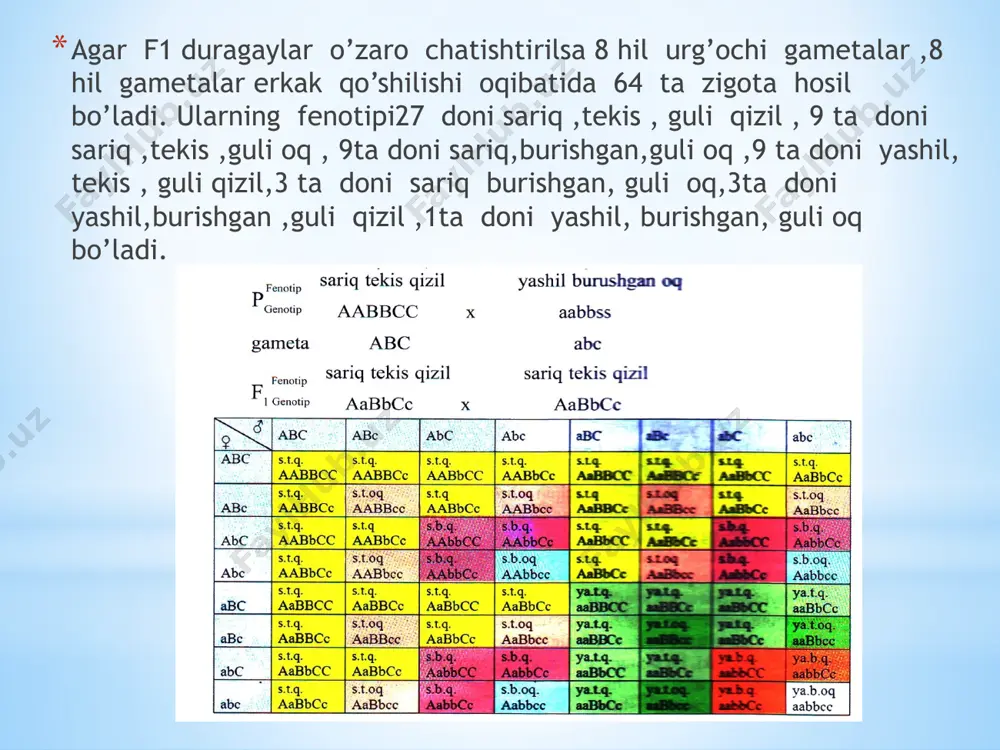 genetika va mendelning qonuni - Page 5