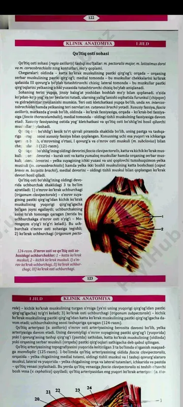 yelka bo‘g‘imi punksiyasi - Page 2