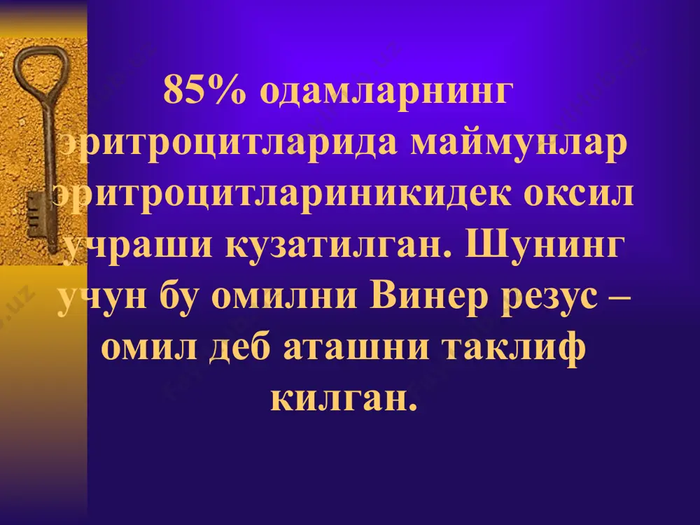 авомийлигига гемолитик касаллик турлари 1. хомилани она ичида улиши (катта микдордаги антителoларнинг хомиладорликни эрта муддатида таъсири натижасида). ташхис серологик усул ёрдамида куйилади. 2. шиш шакли (узок вакт давомида ва кайта кайта етилмаган хомилага антителoларнинг таъсири натижасида вужудга келади. хомила она корнида ёки тугилгандан сунг улади 3.анемик шакли (анемия сарикликсиз) м –антителoларнинг хомилага узок вакт давомида оз микдорда етилган хомилага таъсири натижасида вужудга келади. 4. тугма сариклик шакли (сариклик анемия билан) етилган хомилага антителoларнинг сезиларли таъсири натижасида вужудга келади. бунда компенсатор омилларнинг руёбга чикиши кузатилади. 5. тугрукдан кейинги сариклик шакли (сариклик анемиясиз) хомила ташки куринишдан соглом тугилади, касаллик тугрукдан кейин бир неча соат ёки кун утгач бошланади. богланмаган билирубин микдори баланд ва унинг усиши кузатилади. диагностика 1.анамнезни тулик йигиш а) иммунизация сабаби (аборт) б) акушерлик анамнези: гемолитик касаллик билан тугилган ва улган хомила, она корнида гемолитик касалликдан улиши; 2. конда антителoлар ва уларнинг титрини, хомиладорларда хар ойда, 30 хафтадан кейин эса …