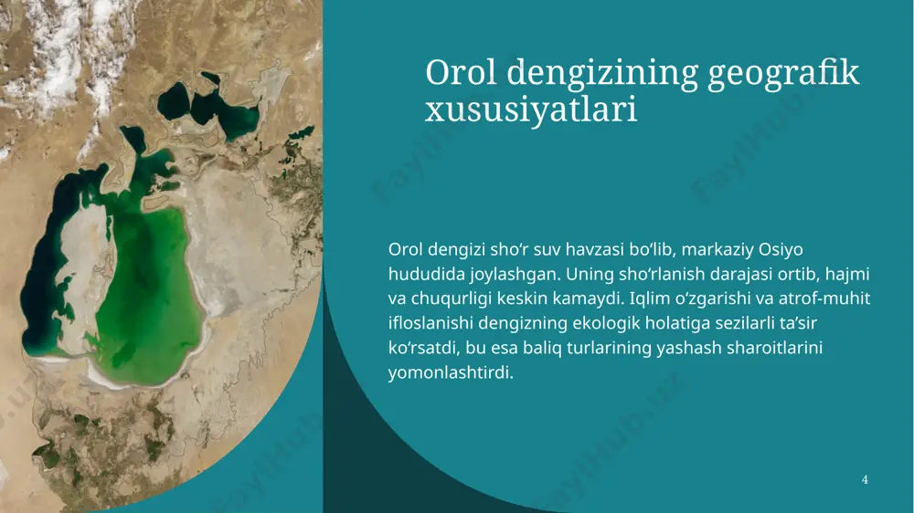 orol dengizining tijorat baliqlari va ular zahirasining holati - Page 4