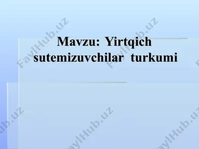yirtqich sutemizuvchilar turkumi — PPT