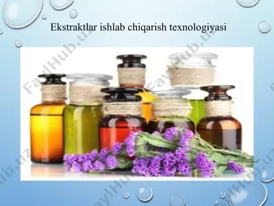 ekstraktlar ishlab chiqarish texnologiyasi — PPTX