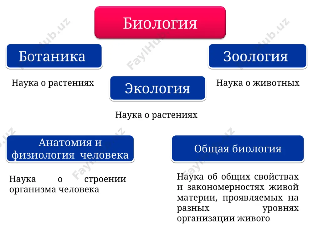 наука о растениях – ботаника - Page 3