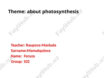 photosynthesis — PPTX
