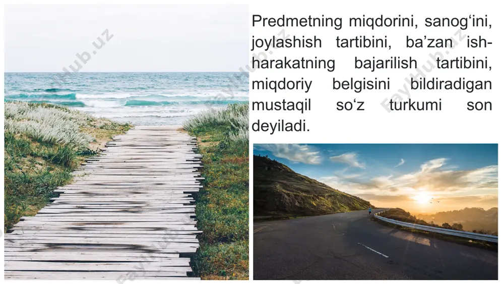 a qо‘shilmaydi). sonlarning turlari 1. miqdor sonlar • narsalarning aniq miqdorini bildiradi. • savol: qancha? nechta? • misollar: • besh (kitob), ikki (bola), o‘n (dona). 2. tartib sonlar • narsalarning ketma-ketlikdagi o‘rnini bildiradi. • savol: nechanchi? • misollar: • birinchi (o‘rin), ikkinchi (mashq), uchinchi (kun). 3. bo‘lak sonlar • narsaning bo‘lakka bo‘lingan qismini bildiradi. • savol: nechadan biri? • misollar: • uchdan bir, ikkidan bir. 4. yig‘ma sonlar • narsalarning guruhlangan holdagi miqdorini bildiradi. • savol: necha? (guruh holida) • misollar: • uchov (bola), ikkita (do‘st), besh ala (qush). 5. taxminiy sonlar • narsalarning taxminiy miqdorini bildiradi. • misollar: • to‘qqiz-o‘n (kishi), yuzlab (odam), o‘n beshga yaqin (mashina). sonlarning yasalishi • asliy sonlar: sodda va tuzilmagan. • misol: ikki, besh, o‘n. • yasama sonlar: qo‘shimchalar yordamida yasaladi. • misol: birinchi, ikkinchi, uchdan bir. sonlarning gapdagi vazifasi 1. aniqlovchi: • misol: uch bola yugurib keldi. 2. ega: • misol: ikki o‘zaro …