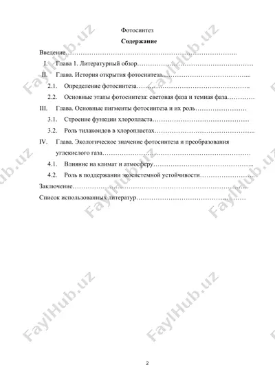 фотосинтез — DOCX