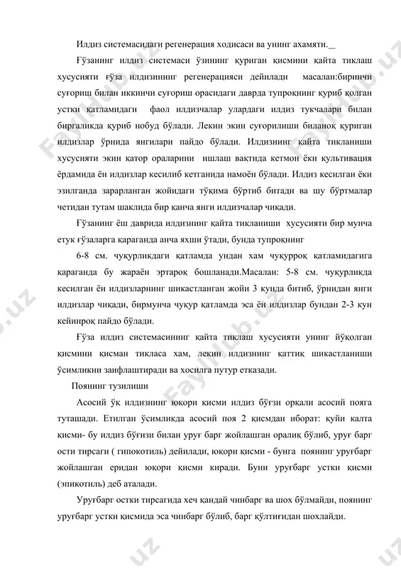 лган ўсимликдаги асосий поянинг бўйи ғўзанинг бир йиллик ёки кўп йиллигига, тур ва навига, ўсиш шароитига қараб бир неча сантиметрдан бир неча метргача боради. ер шарининг тропик зоналарида ғўза кўп йиллик ўсимлик сифатида, ёввойи ва маданий холда ўсиши мумкин. шунинг учун бу холдаги ғўзалар анча баланд бўлиб ўсади. кўп йиллик ғўзаларни ёйилиб ўсадиган айрим дарахтсимон турларини бўйи ёнига қараб 5-7 м., хатто 10-12 м. гача етиши мумкин. асосий поянинг диаметри хам худди унинг бўйи каби бир-биридан кескин фарқ қилади. ўрта осиёнинг суғориладиган туманларида ўрта толали ғўза навларининг асосий пояси диаметри 1-1,5 см. га баъзан 2 см.га етади, ингичка толали ғўза навларида эса бироз йўғонроқ бўлади. баландлиги бир неча метрга етадиган кўп йиллик дарахтсимон ғўзалардан асосий поянинг диаметри баъзан 20-30 см. гача боради.ғўзанинг турига, навига, унинг парваришлаш шароитига қараб поянинг баландлиги ва диаметрида кескин фарқ бўлиши мумкин. ғўзанинг турига қараб асосий поянинг кўндаланг кесмасини шакли бир хилда бўлмайди. қадимги дунё ғўзасида …
