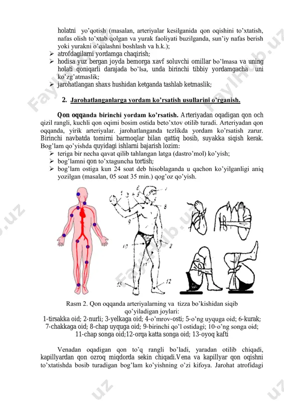 arteriyadan qon oqqanda, yirik arteriyalar. jarohatlanganda tezlikda yordam ko’rsatish zarur. birinchi navbatda tomirni barmoqlar bilan qattiq bosib, suyakka siqish kerak. bog’lam qo’yishda quyidagi ishlarni bajarish lozim:  teriga bir necha qavat qilib tahlangan latga (dastro’mol) ko’yish;  bog’lamni qon to’xtaguncha tortish;  bog’lam ostiga kun 24 soat deb hisoblaganda u qachon ko’yilganligi aniq yozilgan (masalan, 05 soat 35 min.) qog’oz qo’yish. rasm 2. qon oqqanda arteriyalarning va tizza bo’kishidan siqib qo’yiladigan joylari: 1-tirsakka oid; 2-nurli; 3-yelkaga oid; 4-o’mrov-osti; 5-o’ng uyquga oid; 6-kurak; 7-chakkaga oid; 8-chap uyquga oid; 9-birinchi qo’l ostidagi; 10-o’ng songa oid; 11-chap songa oid;12-orqa katta songa oid; 13-oyoq kafti venadan oqadigan qon to’q rangli bo’ladi, yaradan otilib chiqadi, kapillyardan qon ozroq miqdorda sekin chiqadi.vena va kapillyar qon oqishni to’xtatishda bosib turadigan bog’lam ko’yishning o’zi kifoya. jarohat atrofidagi teriga yod surtiladi, sterillangan bint parchasi yoki toza ip-gazlama qo’yiladi va bint bilan mahkam bog’lanadi. rasm 3. oyoq va qo’llardan qon …
