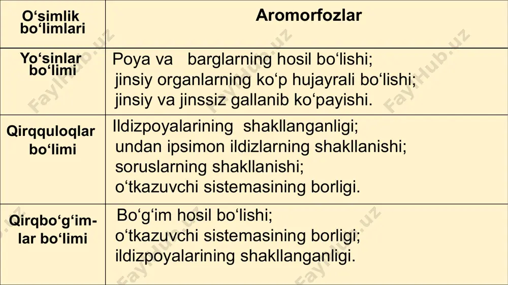 l organik moddalar tabiiy yo‘l bilan sintezlanib to‘planib borgan. keyinchalik bu moddalardan juda mayda shilimshiq zarrachalar shaklidagi protobiontlar hosil bo‘lgan. protobiontlar tashqi muhitda erigan organik moddalarni shimib olib o‘sganligi va bo‘linib ko‘payganligi taxmin qilinadi. tabiiy tanlanish tufayli protobiont-larning tuzilishi mukammallashib, dastlab prokariotlar, ularda yadro va hujayra organoidlari paydo bo‘lishi natijasida esa bir hujayrali eukariot organizmlar kelib chiqqan. ko‘p hujayrali organizmlarda yuz bergan evolutsion o‘zgarishlar. dastlabki ko‘p hujayrali hayvonlar koloniya bo‘lib yashovchi bir hujayrali xivchinlilardan kelib chiqqan. tanasi ikki qavat - ektoderma va entodermadan tuzilgan bu organizmlar sharsimon koloniya devorining botib kirishi - invaginatsiya tufayli paydo bo‘lganligi haqida taxminlar bor. rus olimi i.i.mechnikov esa dastlabki ko‘p hujayrali hayvonlar sharsimon koloniyadagi ayrim hujayra-larning koloniya ichiga ko‘chib o‘tishi - migratsiyasi natijasida paydo bo‘lganligini qayd etadi. keyinchalik ichki hujayralar bir qator tig‘iz joylashuvi natijasida ichki qavat hujayralari entodermani hosil qilgan; tashqi qavat esa ektodermaga aylangan. ektoderma hujayralari harakat-lanish, sezish va himoya qilish funksiya-sini bajarishga …