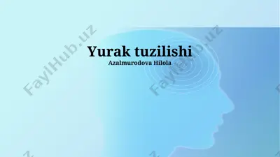 yurak tuzilishi — PPTX