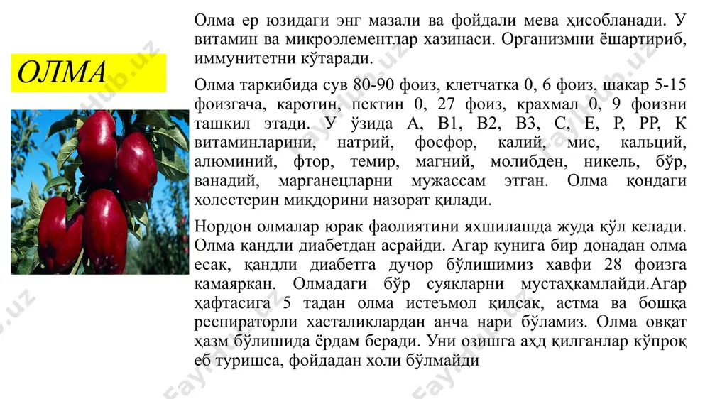 ,натрий, фосфор , хром, яна мис, кобальт молибден , марганец.кант ва пектин бор яна органик кислоталар..уригида эса эфир мойи бор уни формацевтикада яраларни тез битишида дори килиб ишлатишади. наъматак овкат хазм килиш органларига хам фойдалидир:буйрак фоилиятини жуда яхшилайди.наъматак дамламаси шамоллаш касаликларига тускинлик килиб зарарли бактерияларни улдиради. . мева таркибида куп микдорда аскорбин кислотаси инсон иммун системасига ижобий таъсир этади. яна фойдали жихатларидан бири таркибидаги тансик витаминлардан р ва к инсон суякларини усиб мустахкамланишини таминлайди. наъматак кон босимини туширишда хам ишлатилади. наъматак дамламаси организмдаги майдарок тошларни кумга айлантириб туширади.асал кушиб дамланган наматак уткир респиратотор вирусли инфекция билан касалланган бемор ахволини анча яхшилайди.наъматак мевасини 3 донасида, организм учун керакли с витаминини бир кунлик микдори аникланган. ялпиз кўпчиликка маълум, ялпиз ифорининг ўзи кайфиятни кўтариб, организмда бахт гормонлари кўпайишини таъминлайди. бундан ташқари, ялпиз овқат ҳазм бўлишини енгиллаштиради, танадаги шишларни йўқ қилишда асқотади. америка олимлари эса ялпизнинг ҳали ҳеч кимга маълум бўлмаган яна бир фойдали …
