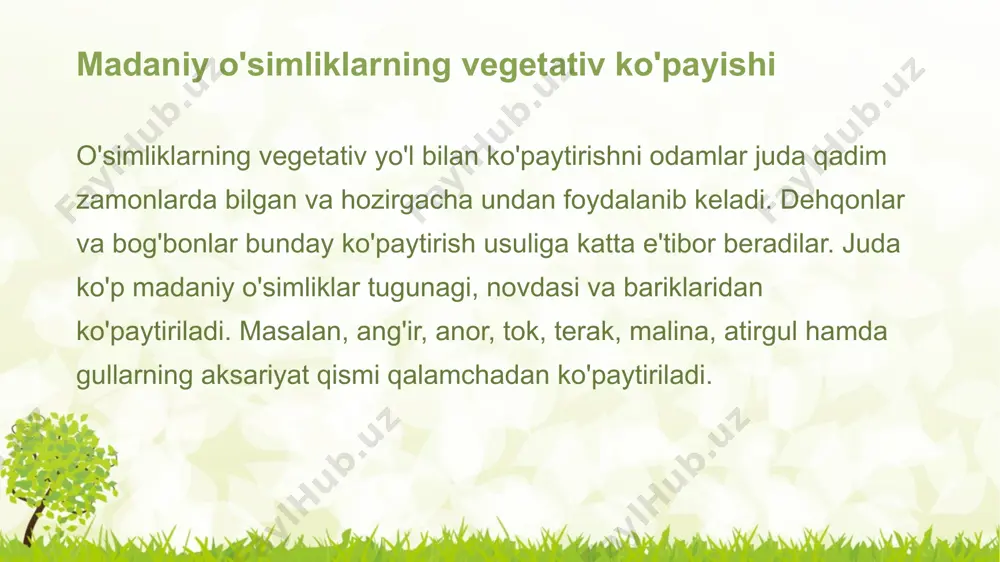 madaniy o'simliklarning vegetativ ko'payishi - Page 3