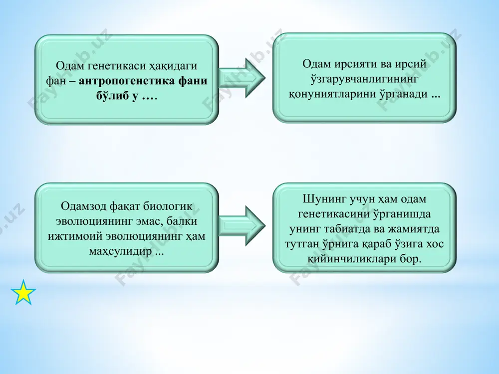 аги конкордантлик касалликлар эгизакларни конкордантлиги, % монозиготалилар дизиготалилар қон босимининг ошиши 26,2 10,0 миокард инфаркти 19,6 15,5 инсульт 22,4 10,8 ревматизм 26,0 10,5 эгизаклар усули билан юрак қон – томир касалликларига бўлган мойилликни аниқланиши * хольцингер формуласи н = (% бэ ўхшашлиги - % иэ ўхшашлиги) / (100 - % иэ ўхшашлиги), где: н- ирсийланиш коэффицент бэ – бир тухум хужайрали эгизаклар иэ – икки тухум хужайрали эгизаклар • н = 1 булса белги 100 % ирсий хисобланади • н = 0 булса белги юзага чиқиши муҳит омилларига боғлиқ бўлади • н = 0,5 булса белгининг юзага чикиши генотипга ва мухит омилларига тенг миқдорда боғлиқ. цитогенетик усул одам кариотипидаги хромасомалар сони, шакли, структураси микроскопда ўрганилади. хромасома касалликларини аниқлашда генетик жинсни аниқлашда хромасомаларнинг генетик ва цитологик хариталарини тузишда мутацион жараёнларни ўрганишда пренетал (туғилгунча) ташҳис қўйишда одам генетикасининг баъзи эволюцион муаммоларини ҳал қилишда а- 1, 2, 3 жуфтлар ж-21,22 жуфтлар ва у-жинсий …