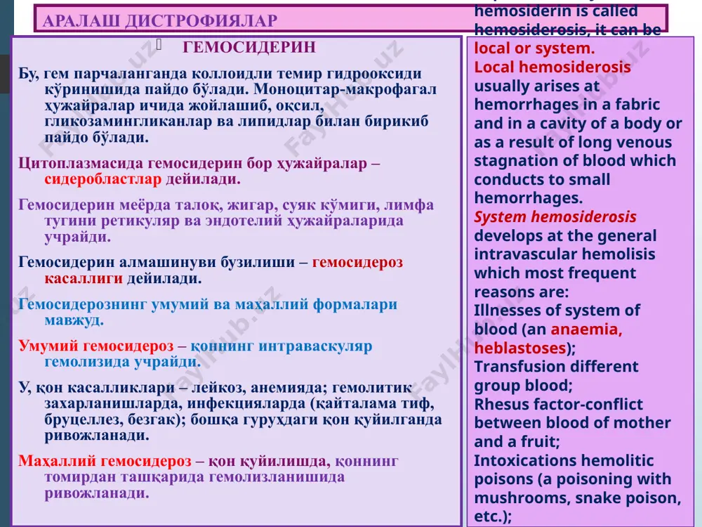 адренохром. 3.энтерохромаффин ҳужайра пигменти. меланин юнонча melas – қора деган, кулранг-қора рангли пигмент. тери, соч ва кўзнинг ранги меланинга боғлиқ. меланин ўзида углерод, азот ва олтингугурт ушлайди. меланогенезнинг бошқарилиши нерв ва эндокрин тизим орқали амалга оширилади. меганостимулловчи, актг, қолқонсимон без, жинсий без гормонлари таъсирида м кўпаяди. парасимпатик нерв тизими ва мелатонин камайтиради. меланин алмашинуви бузилиши меланоз дейилади. умумий ва маҳаллий меланоз турлари бор. умумий меланоз – кахексия, авитаминоз, захарланиш ва эндокрин касалликларида кузатилади, аддисон касаллигида. melanin (from греч. melanos - black) - endogenous tiro-zinogennyj the pigment - is a physiological accessory malpigies a layer epidermis and an epithelium of hair bulbs. the hair colour is connected with melanin adjournment, an eye, skin. a source of this pigment - amino acid тирозин. enzyme tyrozinaze catalyzes oxidation of tyrozine to дигидрооксифенилаланина which is considered as promelanin. протеиноген пигментлар маҳаллий меланознинг турлари. 1. сепгил. 2. туғма хол – тери юзаси билан бир хил …