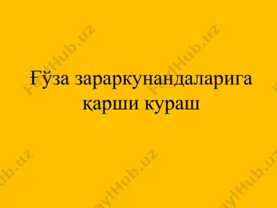 ғўза зараркунандаларига қарши кураш — PPTX