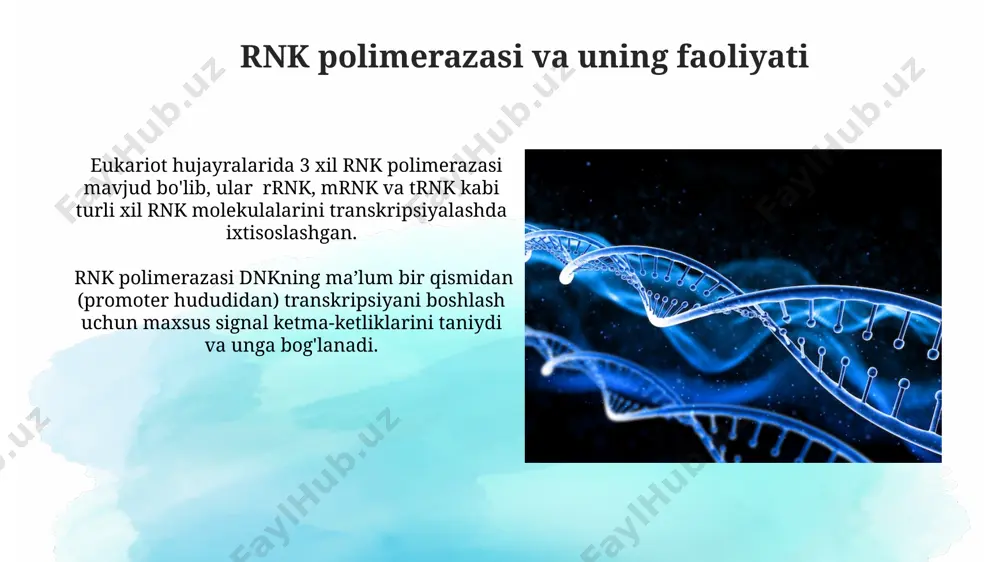 rnk transkripsiyasi va prossessingi - Page 5