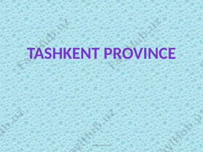 tashkent province — PPTX