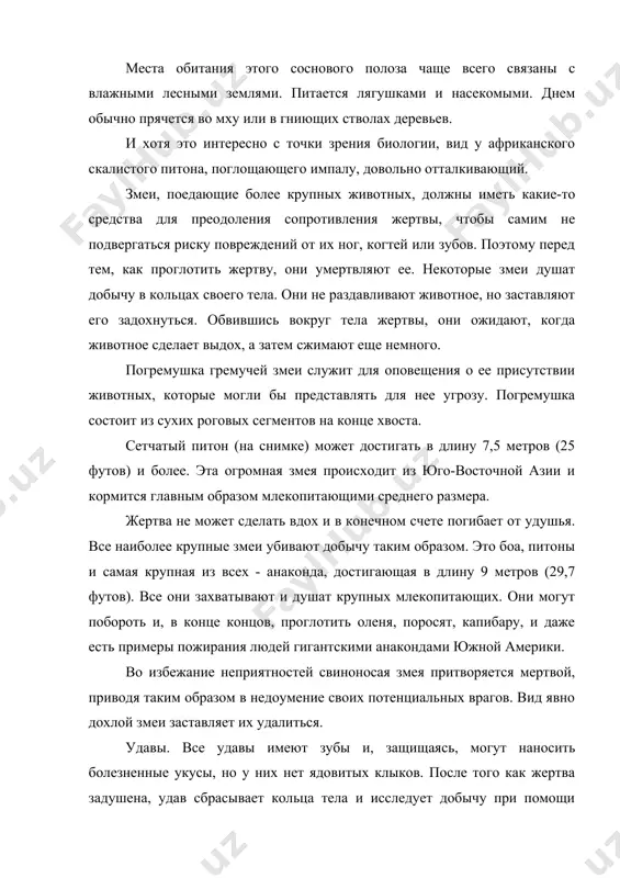 дают, когда животное сделает выдох, а затем сжимают еще немного. погремушка гремучей змеи служит для оповещения о ее присутствии животных, которые могли бы представлять для нее угрозу. погремушка состоит из сухих роговых сегментов на конце хвоста. сетчатый питон (на снимке) может достигать в длину 7,5 метров (25 футов) и более. эта огромная змея происходит из юго-восточной азии и кормится главным образом млекопитающими среднего размера. жертва не может сделать вдох и в конечном счете погибает от удушья. все наиболее крупные змеи убивают добычу таким образом. это боа, питоны и самая крупная из всех - анаконда, достигающая в длину 9 метров (29,7 футов). все они захватывают и душат крупных млекопитающих. они могут побороть и, в конце концов, проглотить оленя, поросят, капибару, и даже есть примеры пожирания людей гигантскими анакондами южной америки. во избежание неприятностей свиноносая змея притворяется мертвой, приводя таким образом в недоумение своих потенциальных врагов. вид явно дохлой змеи заставляет их …