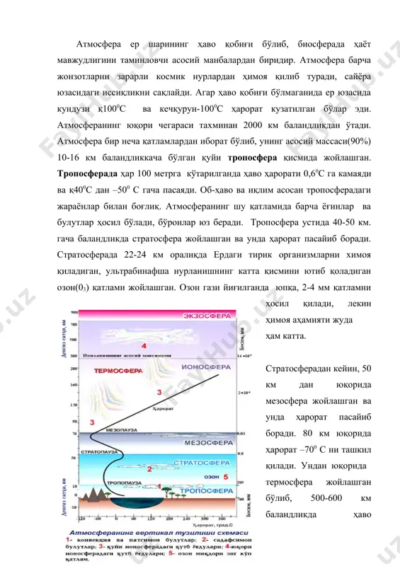 мосферада узоқ вақтдан бери асосий газларнинг нисбатан доимий миқдорлари мавжуд бўлиб, сўнгги йилларда инсон таъсирининг кучайиши натижасида газлар балансининг ўзгариши кузатилмоқда. атмосферадаги азот ва кислороднинг миқдори жуда катта бўлишига қарамасдан салбий таъсир тобора кучайиб бормоқда. кислороднинг асосий манбаи бўлган ўрмонларнинг майдони тезлик билан қисқармоқда, океаннинг нефть махсулотлари билан ифлосланиши фитопланктон (сув юзасида сузиб юрадиган микроскопик ўсимликлар) фаолиятига таъсир кўрсатмоқда. қазилма ёқилғилардан фойдаланиш жараёнида ўнлаб миллиард тонна кислород сарф бўлмоқда. бу жараёнлар келажакда кислород балансининг ўзгаришига олиб келиши мумкин. охирги 150 йил давомида инсон фаолияти натижасида атмосферадаги углерод қўшоксиди(со2 ) ортган. со2 захарли эмас, ўсимликлар учун озуқа ҳисобланади. со2 қисқа тўлқинли қуёш нурларини ўтказади, лекин ердан қайтарилган узун тўлқинли иссиқлик нурланишини ушлаб қолади. натижада «иссиқхона эффекти» вужудга келади. ернинг ўртача ҳарорати(қ150с) 0,8-10 с га ошганлиги қайд қилинмоқда. ёқилғининг кўплаб ишлатилиши муаммони чуқурлаштиради. атмосферада метан(сн4) ва азот чала оксиди(n2о) миқдорининг ортиши «иссиқхона эффекти»ни кучайтирмоқда. бу иқлим ўзгаришини келтириб чиқармоқда. ер тарихида иқлим …