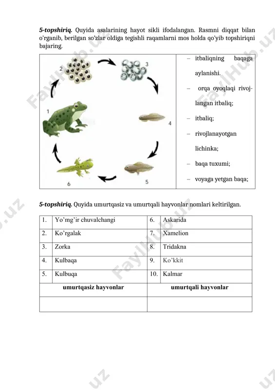 hayvonlar dunyosi - Page 4