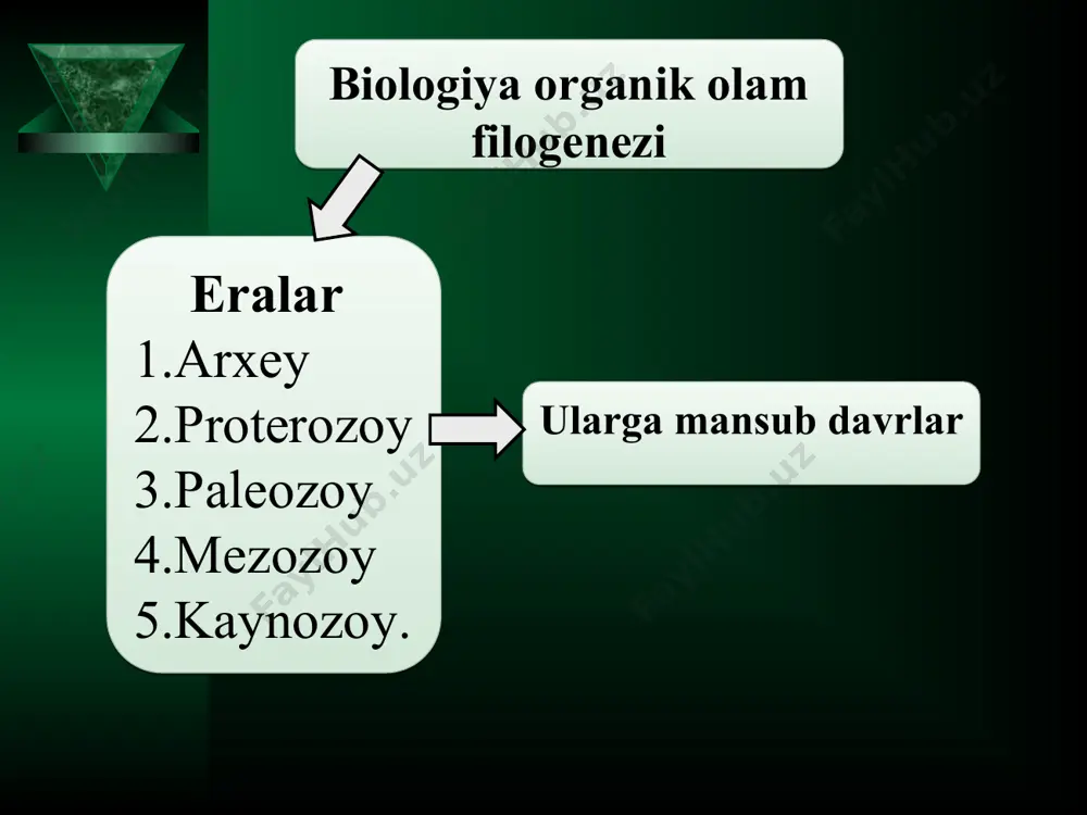 organik olam filogenezi - Page 5