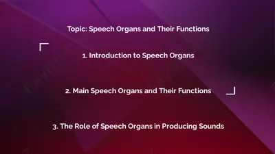 speech organs and their functions — PDF