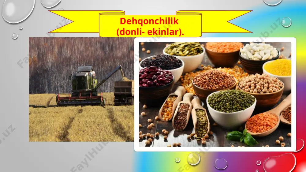 umumta’lim maktablarida 64 ta kasb o’rgatish bo‘yicha kasblar stendi - Page 4