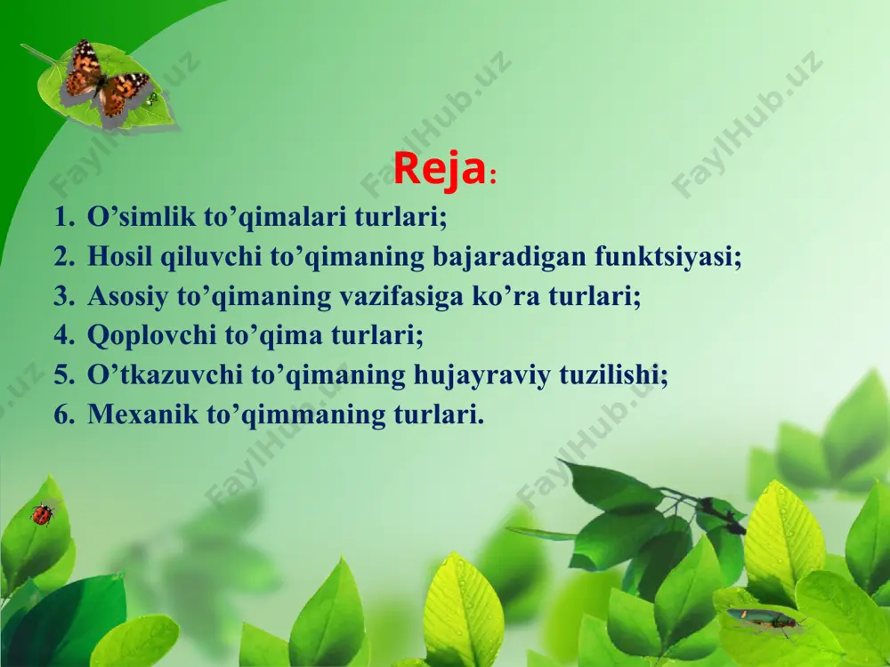o'simlik to'qimalari dars ishlanmasi - Page 4
