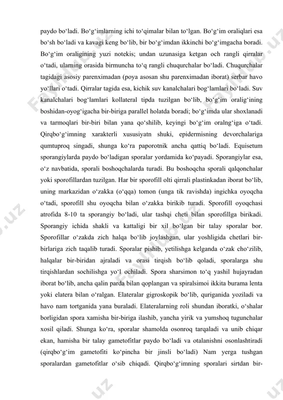 lariga zich taqalib turadi. sporalar pishib, yetilishga kelganda o‘zak cho‘zilib, halqalar bir-biridan ajraladi va orasi tirqish bo‘lib qoladi, sporalarga shu tirqishlardan sochilishga yo‘l ochiladi. spora sharsimon to‘q yashil hujayradan iborat bo‘lib, ancha qalin parda bilan qoplangan va spiralsimoi ikkita burama lenta yoki elatera bilan o‘ralgan. elateralar gigroskopik bo‘lib, quriganida yoziladi va havo nam tortganida yana buraladi. elateralarning roli shundan iboratki, o‘shalar borligidan spora xamisha bir-biriga ilashib, yancha yirik va yumshoq tugunchalar xosil qiladi. shunga ko‘ra, sporalar shamolda osonroq tarqaladi va unib chiqar ekan, hamisha bir talay gametofitlar paydo bo‘ladi va otalanishni osonlashtiradi (qirqbo‘g‘im gametofiti ko‘pincha bir jinsli bo‘ladi) nam yerga tushgan sporalardan gametofitlar o‘sib chiqadi. qirqbo‘g‘imning sporalari sirtdan bir-biridan farq qilmasa ham; ichki tuzilishi boshqacha bo‘ladi, shunga ko‘ra bir xil sporalar otalik gametofit xosil qilsa, ikkinchi xil sporalar onalik gametofiti xosil qiladi. biroq, bu doim saqlanib qoladigan tafovut emas, tashqi sharoit ta’siri bilan otalik gametofitlarida arxegoniylar, onalik gametofitlarida esa anteridiylar …