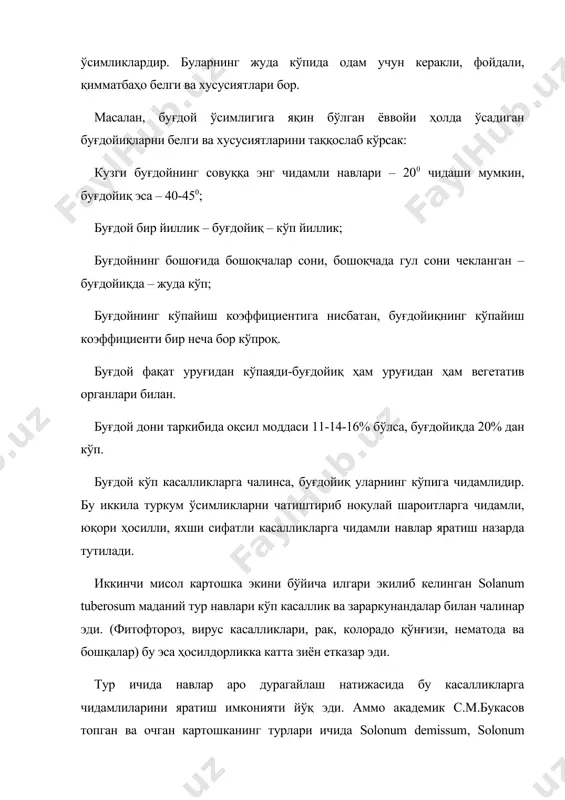 сони, бошоқчада гул сони чекланган – буғдойиқда – жуда кўп; буғдойнинг кўпайиш коэффициентига нисбатан, буғдойиқнинг кўпайиш коэффициенти бир неча бор кўпроқ. буғдой фақат уруғидан кўпаяди-буғдойиқ ҳам уруғидан ҳам вегетатив органлари билан. буғдой дони таркибида оқсил моддаси 11-14-16% бўлса, буғдойиқда 20% дан кўп. буғдой кўп касалликларга чалинса, буғдойиқ уларнинг кўпига чидамлидир. бу иккила туркум ўсимликларни чатиштириб ноқулай шароитларга чидамли, юқори ҳосилли, яхши сифатли касалликларга чидамли навлар яратиш назарда тутилади. иккинчи мисол картошка экини бўйича илгари экилиб келинган solanum tuberosum маданий тур навлари кўп касаллик ва зараркунандалар билан чалинар эди. (фитофтороз, вирус касалликлари, рак, колорадо қўнғизи, нематода ва бошқалар) бу эса ҳосилдорликка катта зиён етказар эди. тур ичида навлар аро дурагайлаш натижасида бу касалликларга чидамлиларини яратиш имконияти йўқ эди. аммо академик с.м.букасов топган ва очган картошканинг турлари ичида solonum demissum, solonum ahdigenum, solonum stoloniferum, solonum acaule чидамли турлар борлиги аниқлангандан кейин картошканинг турлар аро дурагайлаш ўтказиш натижасида қимматли касалликларга чидамли навлар яратилиши …