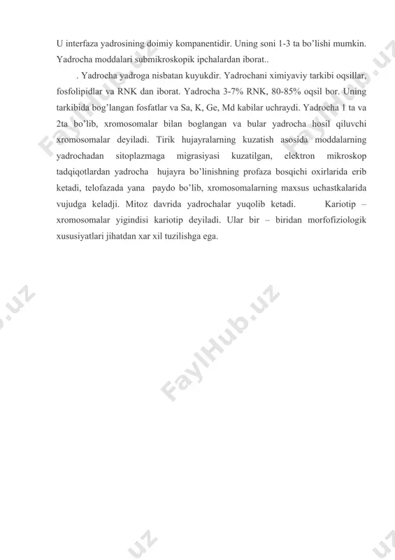 hujayra yadrosi. yadrocha - Page 5