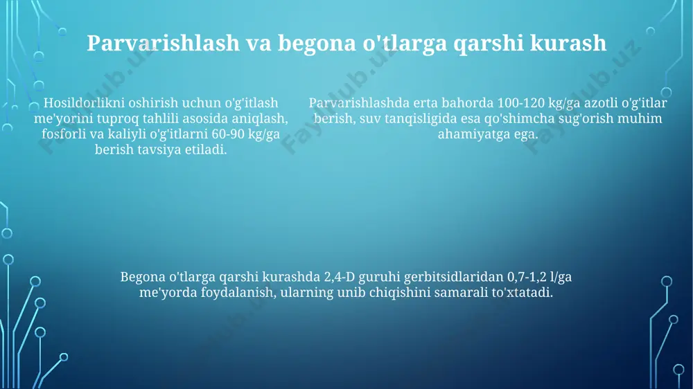 javdar yetishtirish texnologiyasi - Page 5