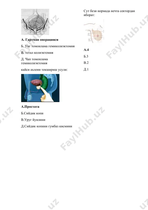 enterokolitik shakli- kasallik klinik ko'rinishi - Page 4