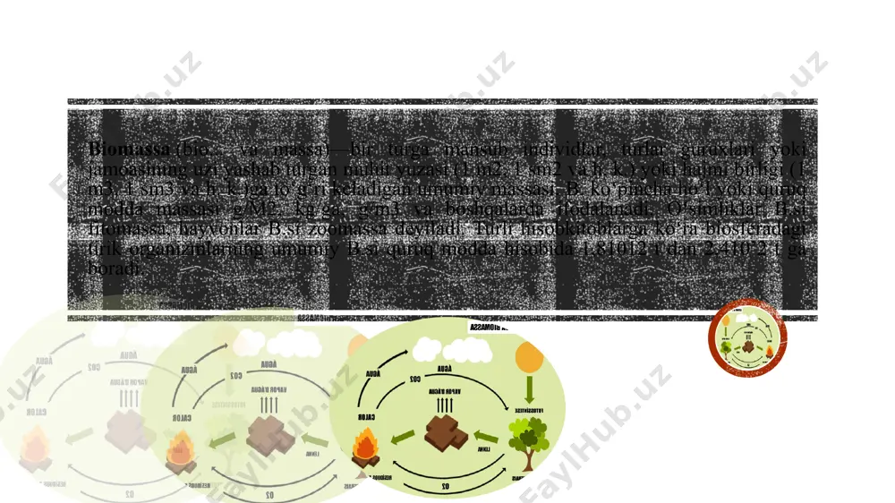 biogumus tayyorlash uchastkasida kaliforniya chuvalchanglari yordamida unumdor o'g'it hosil qilishda ishlatilmoqda. mutaxassisning ta'kidlashicha, har bosh qoramol chiqindisidan bir kecha-kunduzda 1,5 kub metrgacha biogaz olish mumkin. boshqacha aytganda, 1 kub metr biogazning yonish issiqligi qariyb 0,6 litr benzin, 0,85 litr spirt, 1.75 kilogramm o'tin yonishi yoki 2 kilovat elektr energiyasi sarfi tufayli hosil bo'ladigan issiqlik miqdoriga tengdir. go'ngning bu yo'l bilan chiritilishi atmosfera zararlanishining oldini olishga yordam beradi. 1 tonna go'ngning chirish jarayonida atmosfera havosiga 300-400 kub metr metan gazi, ammiak, serovodorod kabi zaharli gazlar ajralib chiqadi. jahonda biogaz olish texnologiyasining 60 turi mavjud bo'lib, eng keng tarqalgani bioreaktorlarda anaerob bijg'itish usulidir. bunda harorat bir me'yorda bo'lishi zarur. agrofirma sharoitida mezofil isitish jarayoni yo'lga qo'yilgan. ya'ni, bijg'itish jarayonida harorat biogaz hisobidan doimiy ravishda 30-40°s da ushlab turiladi. biogaz yonganida atmosfera havosining ifloslanish darajasi ancha kamayadi. inson salomatligiga salbiy ta'siri ham yo'q. xulosa qilib aytganda, «do'stlik» agrofirmasida kelajak energiyasidan foydalanish yuzasidan dastlabki …