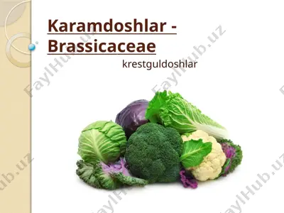 karamdoshlar - brassicaceae — PPTX