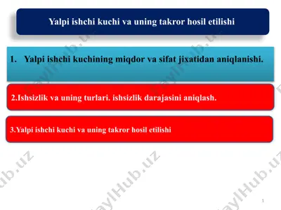 yalpi ishchi kuchi va uning takror hosil etilishi — PPTX