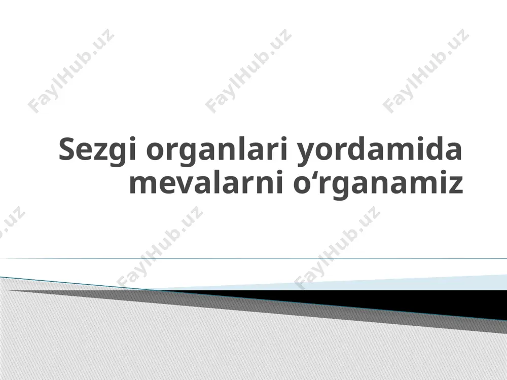 sezgi organlari yordamida mevalarni o‘rganamiz - Page 2