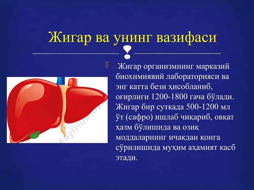 ини эса болалар мактабгача таълим муассасалари ва мактабда ёки уйда ўтказиб юборишади. шунинг учун ҳам гепатитнинг тарқалиши тезлашади ва кўпаяди. юқоридаги белгиларнинг биронтаси кузатилса, зудлик билан шифокор кўригидан ўтинг. бу сизнинг оилангиз ва соғлиғингиз учун жуда муҳимдир. кўз оқининг сарғайиши; пешобнинг тўқ бўлиши; ўнг қовурға остида бироз оғриқ бўлиши; жигарнинг катталашуви; ахлат рангининг очариши; тери рангининг сариқ тусга кириши кузатилади. касалликнинг белгилари: (сариқлик даври) гепатит а касаллиги тўғри даволанса, асорат қолдирмайди ва организмдан тез чиқиб кетади. касалликнинг бу тури бошқаларига қараганда сурункали давом этмайди, 6 ойдан сўнг бемор соғлом кишилар қаторига қўшилади. бемор тузалгандан кейин ҳам белгиланган парҳезларга амал қилиши шарт. чунки, жигар тўқималари тикланиши учун 6 ой вақт керак бўлади. мана шу олти ой мобайнида беморга ёғли, аччиқ ва шўр овқатларни истеъмол қилиш мумкин эмас. кейин жигарни зўриқтириш ҳам таъқиқланади ва албатта беморга 3 кг дан ортиқ юк кўтариш ман этилади. гепатит а касаллиги билан оғриган беморларнинг овқатланиш тартиби: …