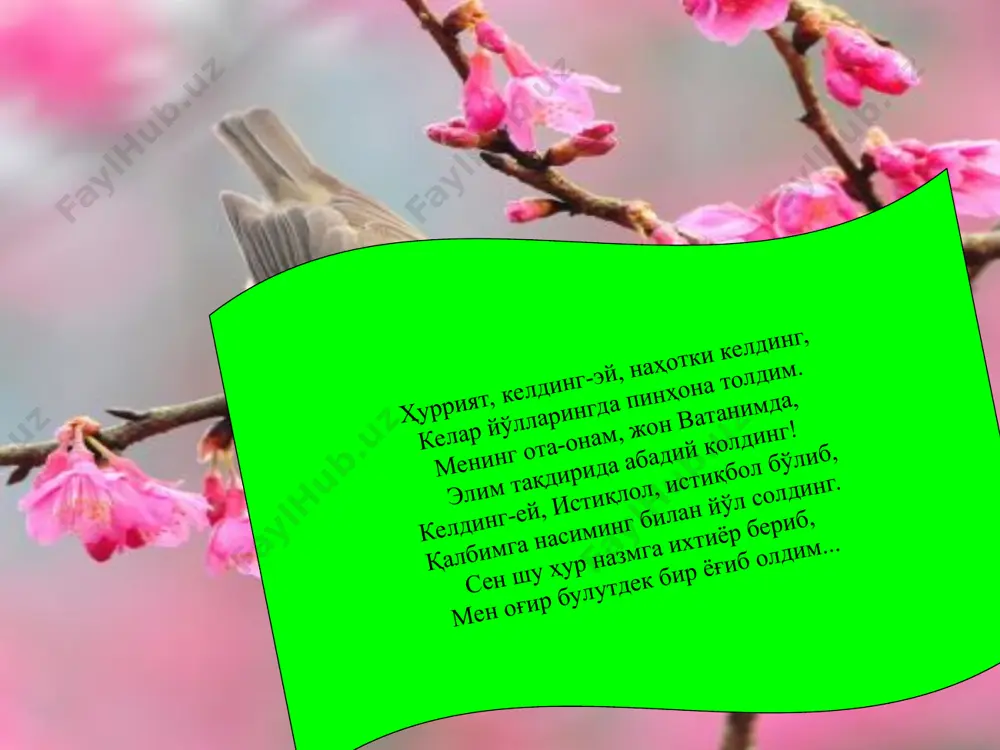 zulfiya isroilova haqida maqola - Page 5