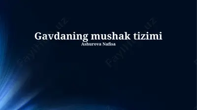harakat-tayanch tizimi — PPTX