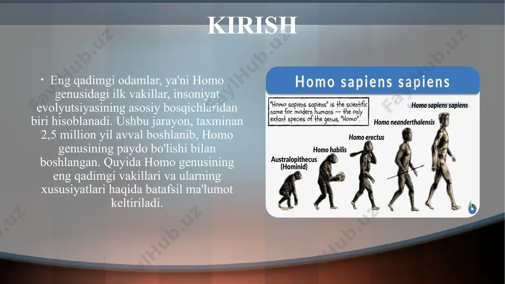 g ishonchli dalillari topilmadi. homo sapiens homo sapiens ( lat. homo sapiens ), shuningdek, ko'pincha oddiy odam, primatlarning eng ko'p va keng tarqalgan turidir . ➤ hominidlar oilasining (o'ta oila - maymunlar ) odamlari ( homo ) jinsiga tegishli bo'lib , o'zining tik turishi , turning boshqa vakillari bilan muloqot qilish uchun nutqdan foydalanish , asboblardan foydalanish bilan ajralib turadi . shuningdek , juda katta hajmdagi va miyangizning tuzilishiga ega bo'lgan juda rivojlangan bilim qobiliyatlari. odamlar juda ijtimoiy hayvonlar bo'lib, ular oilalardan tortib shtatlargacha bo'lgan ko'plab kooperativ va raqobatbardosh guruhlardan iborat murakkab ijtimoiy tuzilmalar ichida yashashga moyildirlar . odamlar o'rtasidagi turli xil ijtimoiy o'zaro ta'sirlarning natijasi ijtimoiy normalar va ijtimoiy qadriyatlar , shuningdek, marosimlar , tillar va jamiyatda moddiy va nomoddiy madaniyatning boshqa ko'rinishlarining paydo bo'lishi edi. insonning atrofdagi dunyoni, uning hodisalarini va ularning hayotga ta'sirini tushunishga intilishi fan va texnikaning , shuningdek, falsafa , din va mifologiya kabi bir …