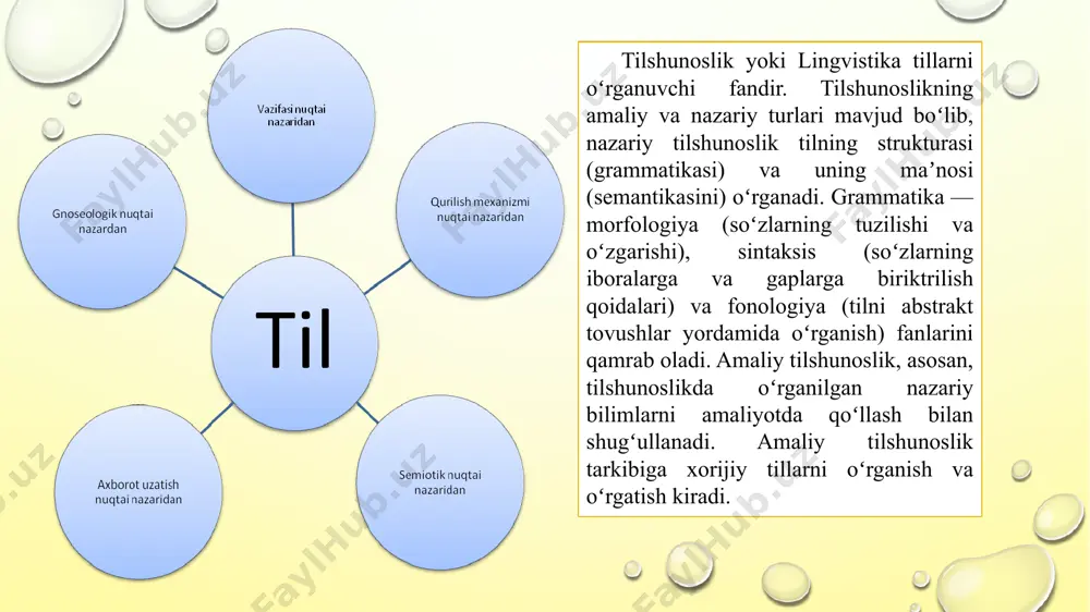 tilshunoslikning zamonaviy sohalari - Page 5
