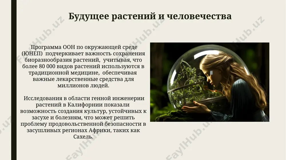 ения уникальных экосистем с высоким уровнем эндемизма. растения и эстетическое значение эстетическое восприятие ландшафтов, таких как французские парки версаля с их строгими геометрическими композициями из деревьев и кустарников, оказывает значительное влияние на психоэмоциональное состояние человека, снижая уровень стресса на 15-20%. в японии, где садовое искусство достигло высочайшего уровня развития, существует более 3000 различных сортов сакуры, культивируемых на протяжении веков, что свидетельствует о глубоком эстетическом значении растений в культуре страны. растения и почвообразование растения выделяют в почву до 50% органического вещества, образуя гумус, ключевой компонент плодородных почв, как в чернозёмных зонах россии, так и в тропических лесах амазонии. более 25% видов растений семейства бобовых, распространённых на всех континентах, включая австралию и африку, образуют симбиоз с азотфиксирующими бактериями, обогащая почву доступным для других растений азотом. растения и климат снижение площади лесов в сибири на 10% за последние 30 лет привело к увеличению среднегодовой температуры в регионе на 1-2 градуса цельсия, наглядно демонстрируя …