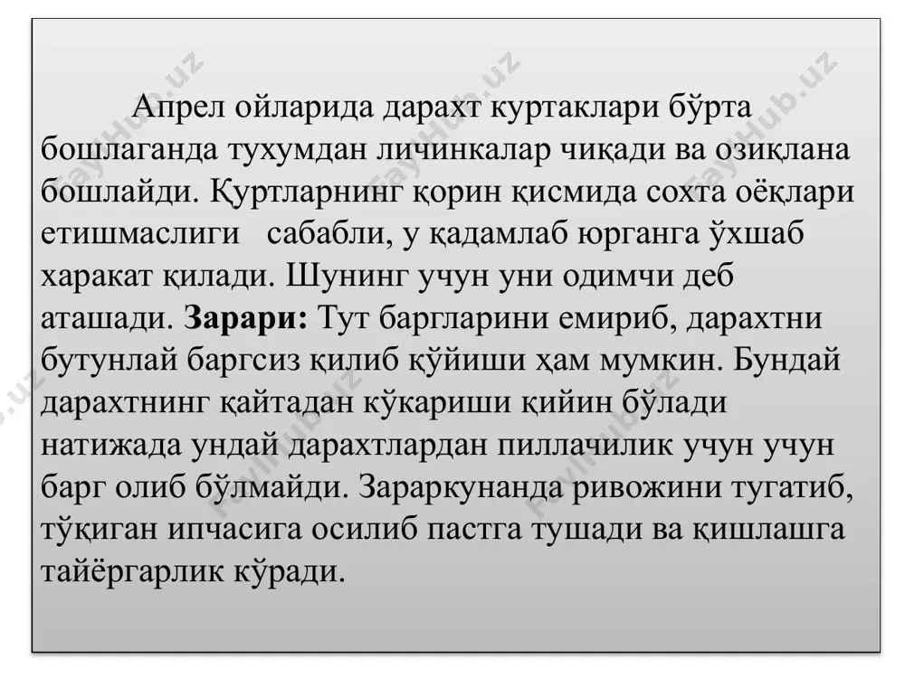 тут одимчаси (apocheima cinerarius) - Page 5
